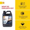 imageShell Rotella NitriteFree Extended Life ELC AntiFreeze  Coolant Concentrate 1 GallonExtended Life